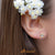 Stud Star Steel Earrings with CZ - Monera-Design Co., Ltd