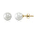 Steel Stud Pearls Earrings - Monera-Design Co., Ltd