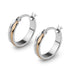 Stainless Steel 2 Tone Earrings with Eroding