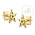 Stud Star Gold Steel Earrings